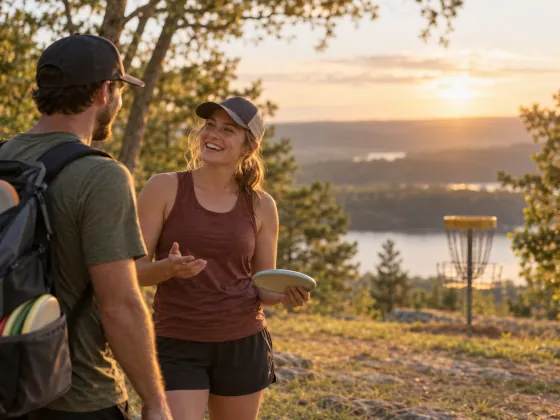 Disc golf discs